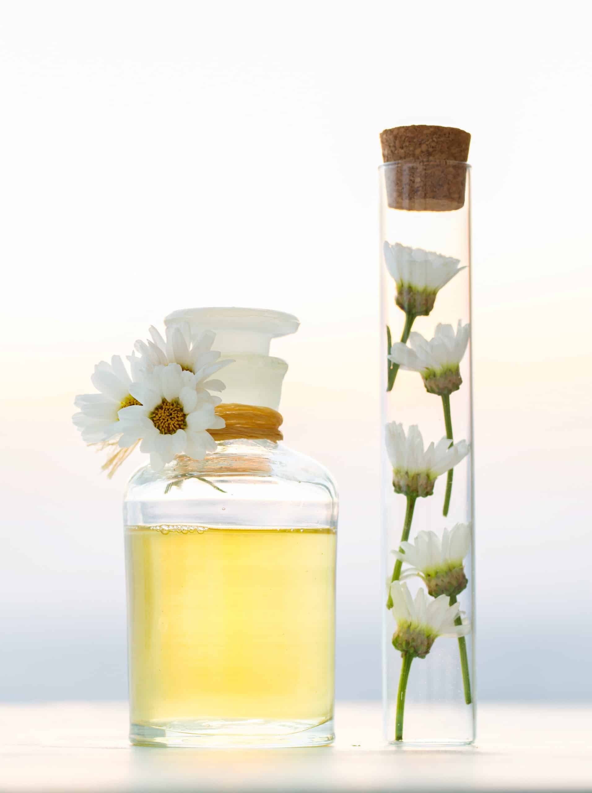 Canva Chamomile water scaled